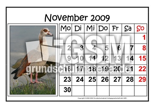 11-November-2009-quer.pdf